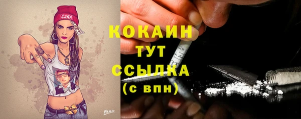 дмт Касимов