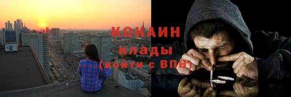 дмт Касимов