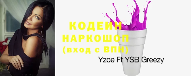 дмт Касимов
